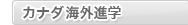 �J�i�_�C�O�i�w