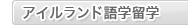�A�C�������h��w���w