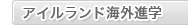 �A�C�������h�C�O�i�w