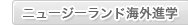 �j���[�W�[�����h�C�O�i�w