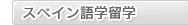 �X�y�C����w���w