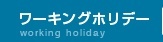 ���[�L���O�z���f�[