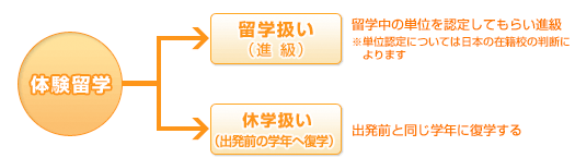 体験留学