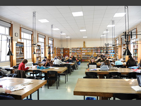 ILCF �������E�J�g���b�N��w / �������J�g���b�N��w�}���فi�B�e�FCostarella�j