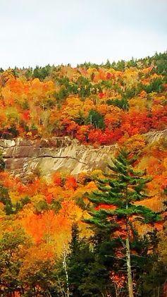 アメリカ東海岸の紅葉を楽しもう！雄大な「ホワイトマウンテン国立公園」