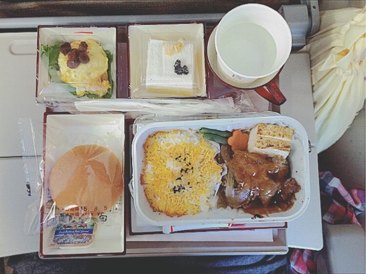 アメリカへ渡航中の機内食