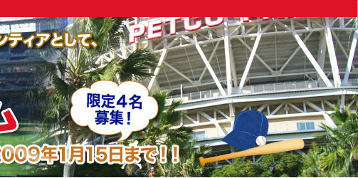 WBCボランティア+英語研修プログラム　限定４名募集