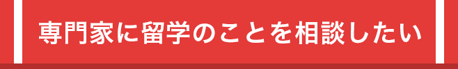 専門家に留学のことを相談したい