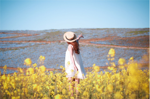 菜の花女の子