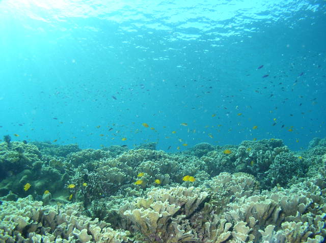 3/24（日）～名古屋フィリピン留学フェア～ 【開催まであと8日！】