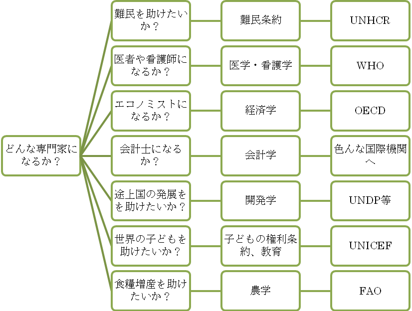 専門性と国際機関の関連