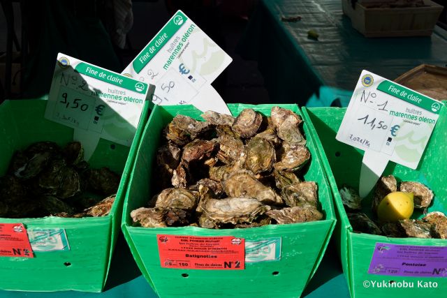 カキはサイズと産地により値段も様々