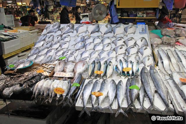 新鮮な魚が並ぶ魚市場。地元の人もよく買い物に訪れる