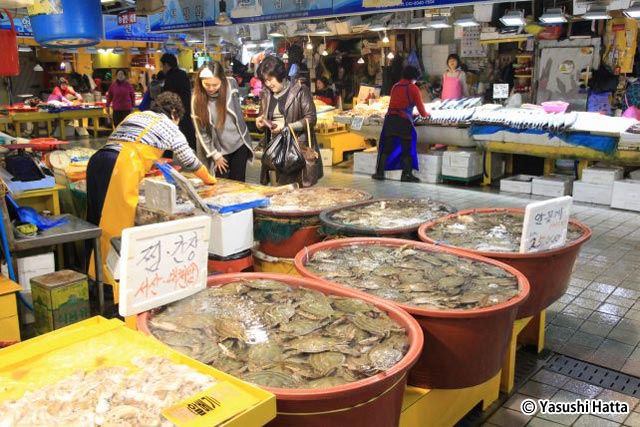 仁川総合魚市場は仁川駅から車で約20分。仁川港近く