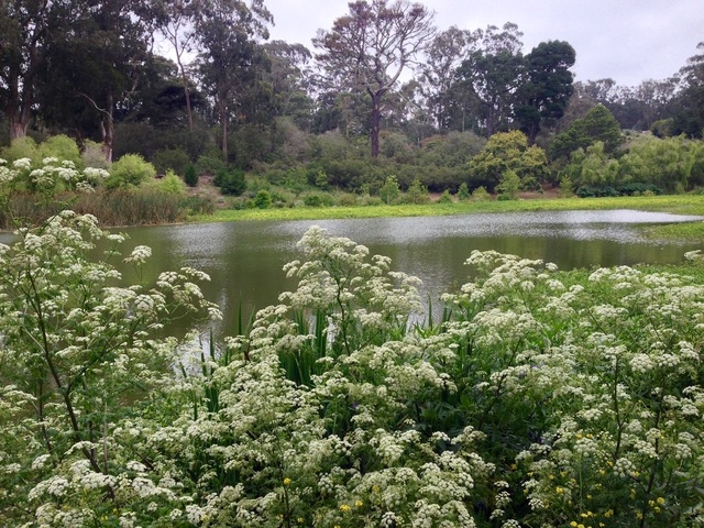 エルクグレンレイク（Elk Glen Lake）