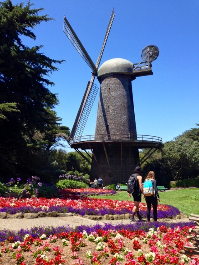 ダッチウィンドミル（Dutch Windmills）とチューリップ園