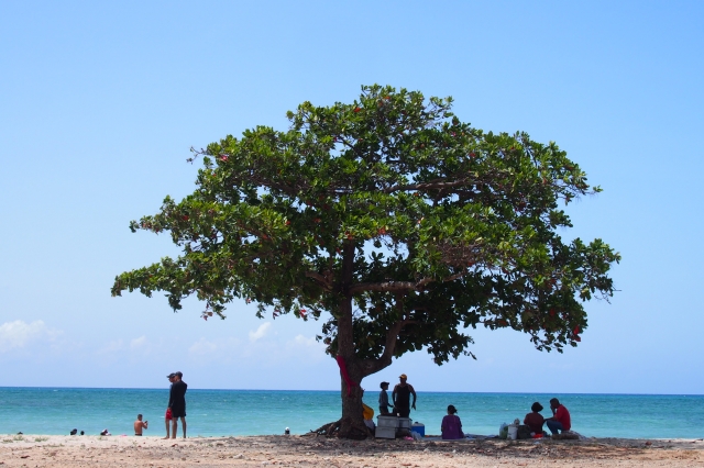 常夏の島キューバの美しい海も魅力的（撮影場所：トリニダー）