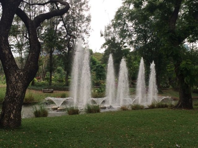 ルンピニー公園内の噴水
