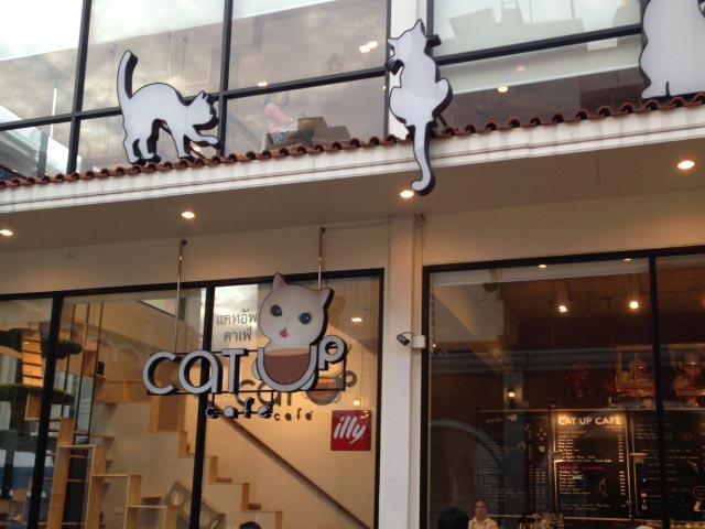 店構えもかわいい「キャットアップカフェ（The Cat Up Cafe）」