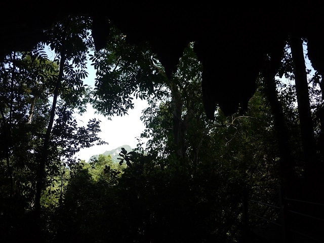 洞窟内から見たジャングル。鍾乳石が怪物の牙のようだ
