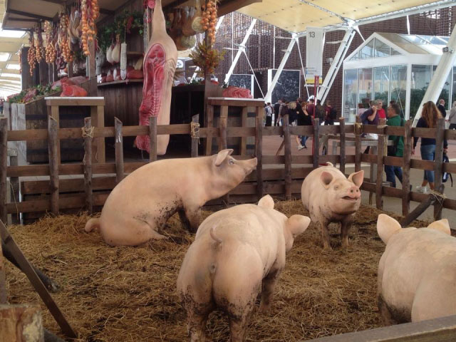 リアルな豚の模型とその横に並ぶお肉
