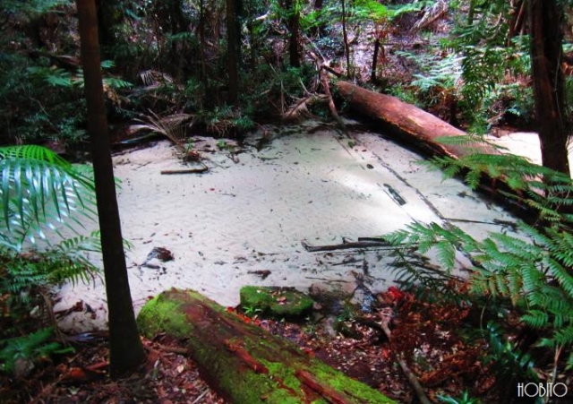 川の底は砂1