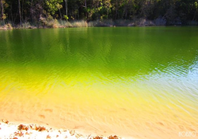 ワビー湖(Lake Wabby)