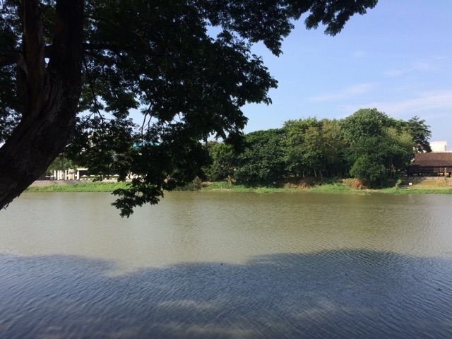 カフェのすぐ横を流れるピン川