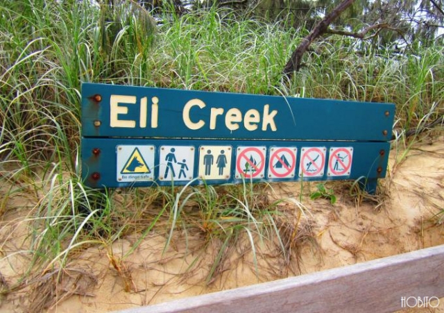 エリー川(Eli Creek)1