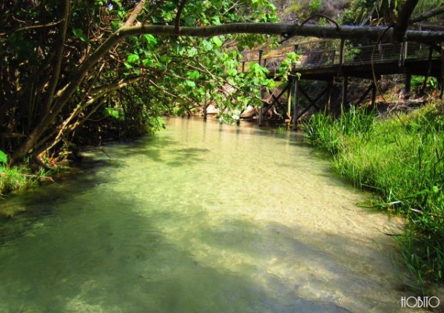 エリー川(Eli Creek)2