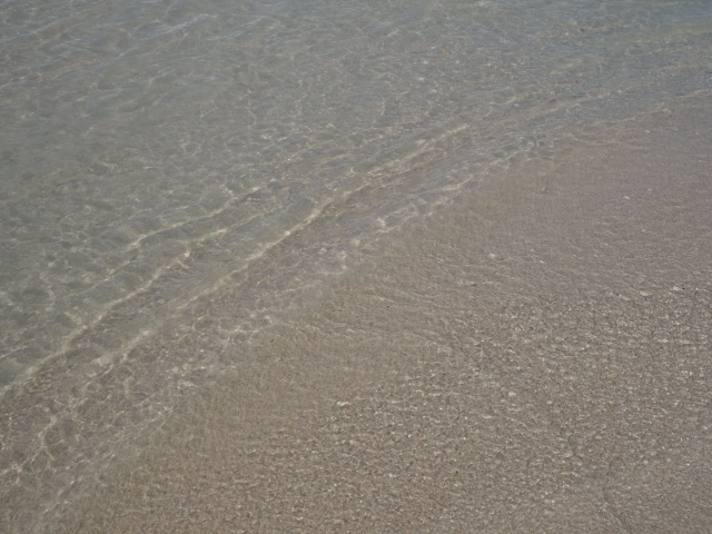 ドバイの海は澄み切っています