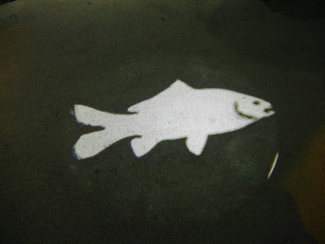 これは床に照らされていたライトの１つ　魚の模様をしています