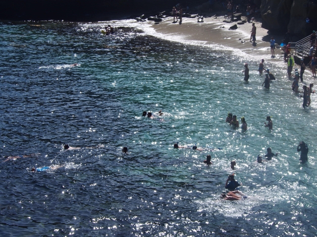 きれいな海で海水浴を楽しめる