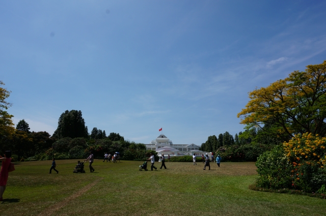 やっと見えてきました！大統領官邸