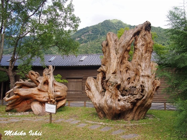 瑞穂地区の近くのエリアにある観光地「林田山林場」