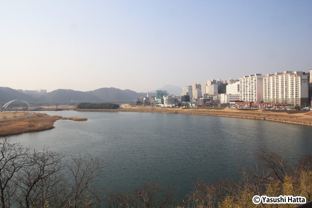 市内を流れる太和江。古来より川に沿って町は発展してきた