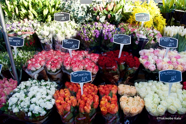マルシェで売られる花々
