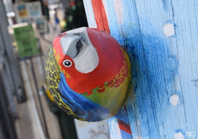 カラフルな鳥が