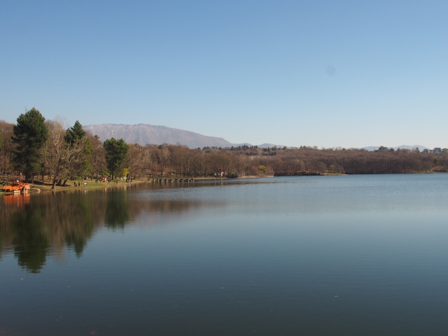 湖が美しい公園