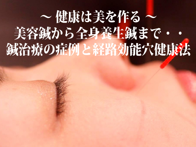 旅いさら ハンバンスタイル協会セミナー 美容鍼から全身養生鍼まで 成功する留学