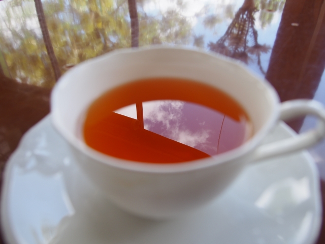 香り高い紅茶を茶畑を眺めながらいただけます