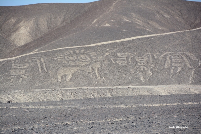 ナスカの数百年前に描かれたパルパの地上絵
