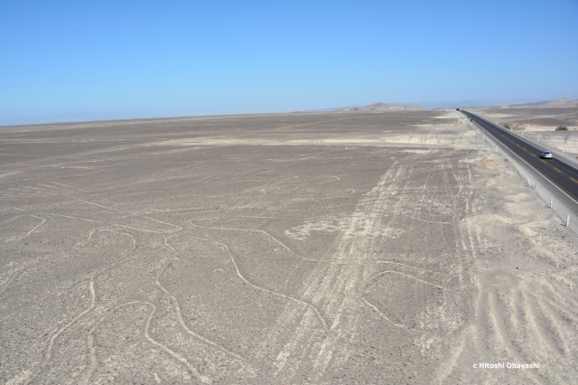 乾ききった大平原に描かれたナスカの地上絵