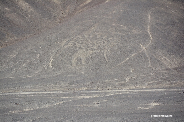 太陽の化身がイメージされるパルパの地上絵