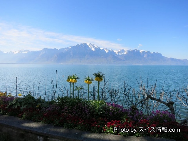 モントルー駅付近レマン湖の風景