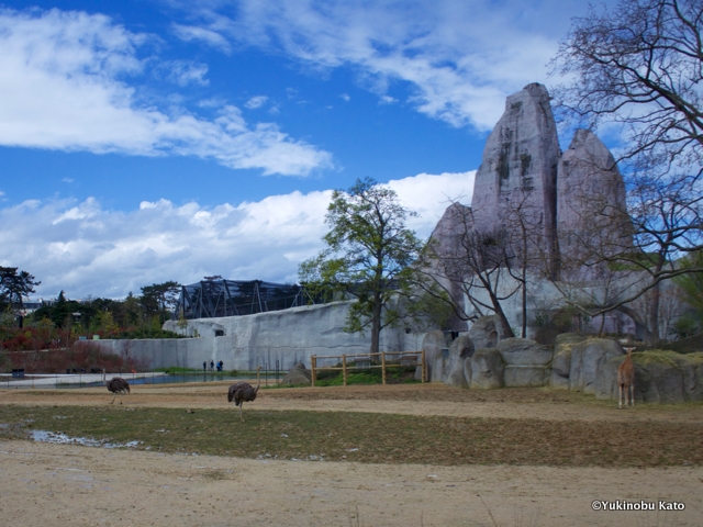 園内にそびえる人工の岩山