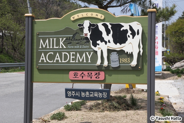 鎬洙牧場。乳製品の加工工場を2015年10月に新設した