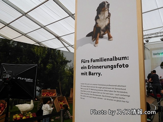 山岳救助犬バリーと写真を撮ろう！