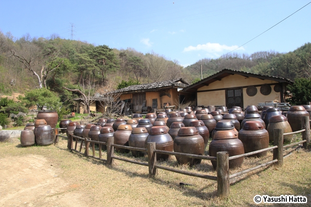 無愁村テンジャンマウル（味噌村）。伝統製法の味噌などを製造
