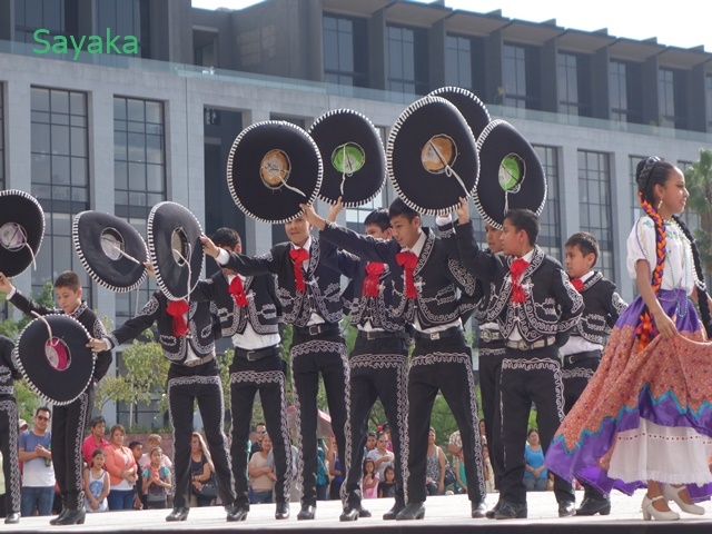 「日本＝忍者、侍」レベルの誤解なのですが…